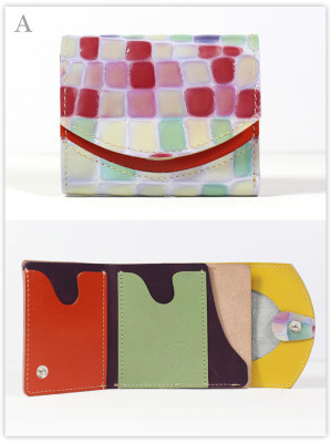 小さい財布　シーボルトの恋：A