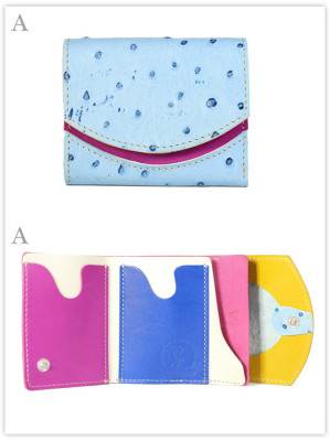 小さい財布　ペケニョミムス（生後3ヶ月）：A