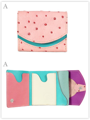 小さい財布　私の知らない世界：A