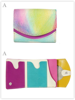 小さい財布　ムネアカアオバト：A