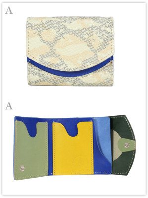 小さい財布　空き地の空：A