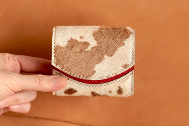 �ݥˡ��ϥ饳�ξ��������ۡ��������աó׿��ͤ��ž夲���������ϥ�ɥᥤ�ɤΥߥ˺���